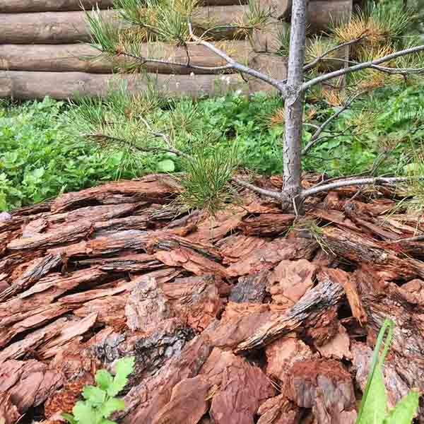 Кора сосны фракция 5-10см Крупная 60л Кора сосны фракция 5-10см Крупная 60л