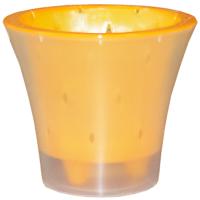 Кашпо для орхидей Ванда 1,2л прозрачный с желтой вставкой ВД15-04 Кашпо для орхидей Ванда 1,2л прозрачный с желтой вставкой ВД15-04