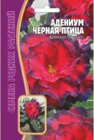 Адениум Черная Птица 3 шт Адениум Черная Птица 3 шт