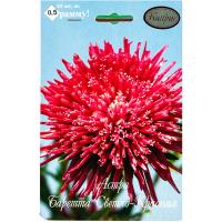 Астра Баретта Светло-красная 20*0,5 