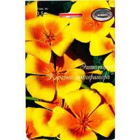 Эшшольция Кимоно императора 20*0,5  Эшшольция Кимоно императора 20*0,5