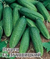 Огурец Луховицкий F1 100 шт Огурец Луховицкий F1 100 шт