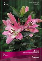 Лилия Восточная горшечная Сувенир (12/14) 2 шт