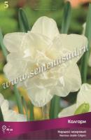 Нарцисс Махровый Калгари (12/14) 5шт.