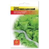 Салат Кучерявец Одесский 1г Салат Кучерявец Одесский 1г
