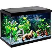 Аквариум Nimbus 75,7л 614*322*422мм/Laguna/73534026 Аквариум Nimbus 75,7л 614*322*422мм/Laguna/73534026
