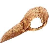 Грот Череп птицы Nomoy Pet 20х8х6.5см/NMP-NS-121 Грот Череп птицы Nomoy Pet 20х8х6.5см/NMP-NS-121