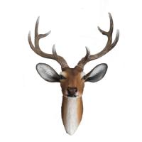 Голова оленя (акрил) 718349/F860