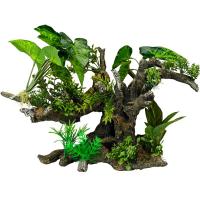 Растение AQUA DELLA Florascape 10 41x23.5x31см (Бельгия) 234/432143 Растение AQUA DELLA Florascape 10 41x23.5x31см (Бельгия) 234/432143