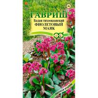 Бадан тихоокеанский Фиолетовый маяк 0,01г Бадан тихоокеанский Фиолетовый маяк 0,01г