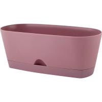 Кактусница 25см Амстердам 1,7л морозная слива с под. IG6203 /6шт/ПР Кактусница 25см Амстердам 1,7л морозная слива с под. IG6203 /6шт/ПР