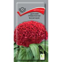 Поиск Целозия гребенчатая Красный коралл 0,05гр  Поиск Целозия гребенчатая Красный коралл 0,05гр