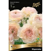 Лютик гибридный Романс Мэритайм /К 839685 Лютик гибридный Романс Мэритайм /К 839685