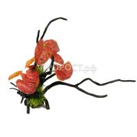 Грот Decor 206 Коряга с растением 27*22*24см Грот Decor 206 Коряга с растением 27*22*24см