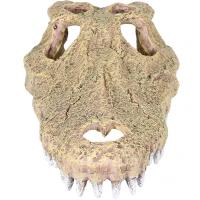 Грот AQUA DELLA Череп Аллигатора бежевый 28.5x14.5x8см (Бельгия) 234/443484 Грот AQUA DELLA Череп Аллигатора бежевый 28.5x14.5x8см (Бельгия) 234/443484