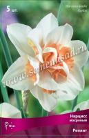 Нарцисс Махровый Реплит (12/14) 5шт. Нарцисс Махровый Реплит (12/14) 5шт.