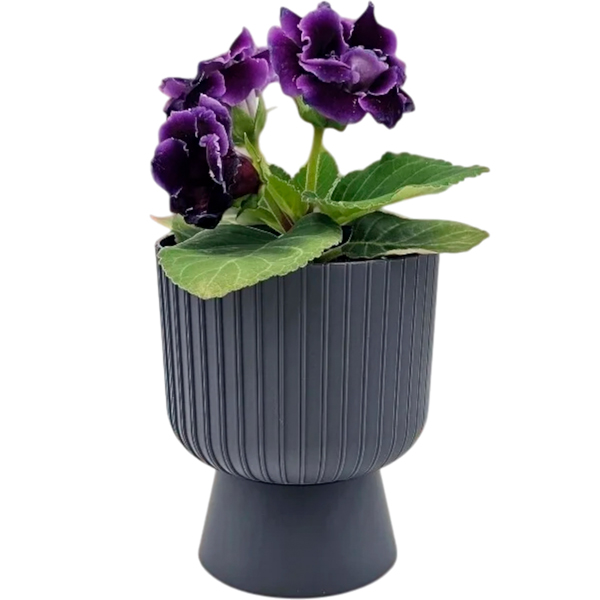 Кашпо-вазон Бекер D25 8,6л антрацит с под. 5PL0787 /3шт/ТП