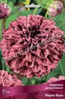 Георгина шаровидная Марбл Болл (I) 1 шт