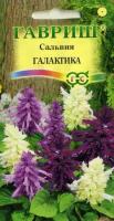 Сальвия Галактика карликовая смесь 6шт Сальвия Галактика карликовая смесь 6шт