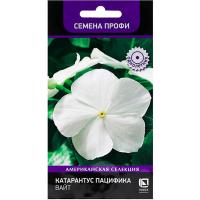 Катарантус Пацифика Вайт 10шт Катарантус Пацифика Вайт 10шт