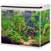 Аквариум 058 LED+top Filtr 50л белый/BARBUS Аквариум 058 LED+top Filtr 50л белый/BARBUS