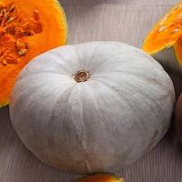 Тыква крупноплодная Крошка 10г Тыква крупноплодная Крошка 10г