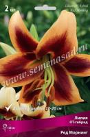 Лилия ОТ-Гибрид Ред Морнинг (14/16) 2 шт