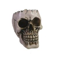 Череп L14W10H11см 715335 Череп L14W10H11см 715335