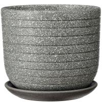 Пряности серый бук №2 1,6л Пряности серый бук №2 1,6л