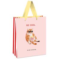 Пакет подарочный 11*14*6,5см "Be cool" выб. лак мат. ламинация MESHU/Рельеф Пакет подарочный 11*14*6,5см "Be cool" выб. лак мат. ламинация MESHU/Рельеф