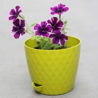 Кашпо Румба 1л киви с прик. поддоном