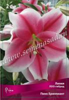 Лилия ЛОО-Гибрид Пинк Бриллиант (12/14) 2 шт