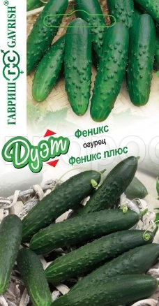 Огурец Феникс 0,5 г + Феникс плюс 0,5г Огурец Феникс 0,5 г + Феникс плюс 0,5г
