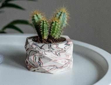 Кашпо Ромбы VipSet 0,15л красно-серый (5,5см) Кашпо Ромбы VipSet 0,15л красно-серый (5,5см)