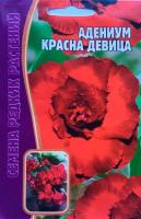 Адениум Красна Девица 3 шт