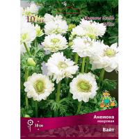 Анемона махровая Вайт (5/6) 10 шт  Анемона махровая Вайт (5/6) 10 шт