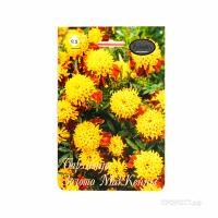 Бархатцы Золото МакКенны 20*0,5