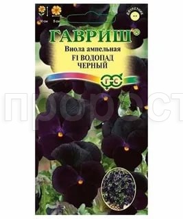 Виола Виттрока Водопад черный F1 4шт Виола Виттрока Водопад черный F1 4шт