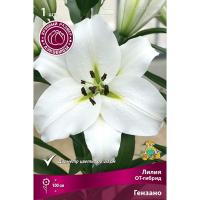 Лилия ОТ-Гибрид Гензано (16/18) 1 шт 821204