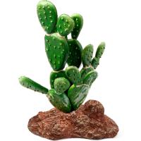 Растение Опунция Laguna 95*60*140мм/84044004 Растение Опунция Laguna 95*60*140мм/84044004