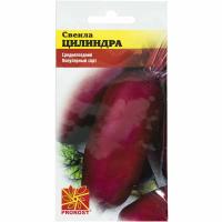 Свекла Цилиндра 2г Свекла Цилиндра 2г