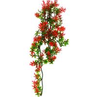 Растение LUCKY REPTILE Turtle Plant Ludwigia 40см (Германия) TP-40