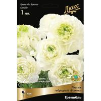 Лютик гибридный Романс Гренобль /К 839684 Лютик гибридный Романс Гренобль /К 839684