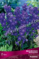 Дельфиниум белладонна Атлантис (I) 1 шт