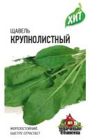 Щавель Крупнолистный 0,5г Щавель Крупнолистный 0,5г