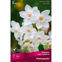 Нарцисс Тацеттовидный Пейпервайт ( 5шт, 13/15) 839502 Нарцисс Тацеттовидный Пейпервайт ( 5шт, 13/15) 839502