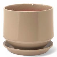 Бутон Глянец диана d13/h13см капучино/ГЛ714/2/730902 Бутон Глянец диана d13/h13см капучино/ГЛ714/2/730902