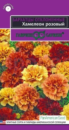 Бархатцы Хамелеон розовый отклоненные 5 шт Бархатцы Хамелеон розовый отклоненные 5 шт