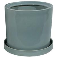 Лидер №1 d12см латте