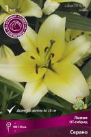 Лилия ОТ-Гибрид Серано (16/18) 1 шт 821206
